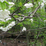 Untitled-1