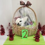 Basket-2